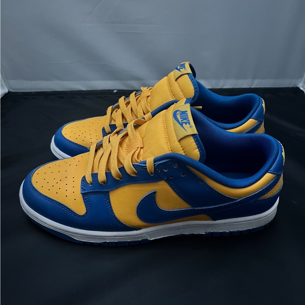 Nike Dunk Sb